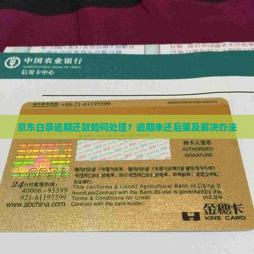 京东白条逾期还款如何处理