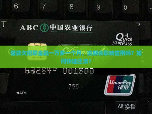 借款欠招联金融一万多一个月 借款欠招联金融一万多一个月
