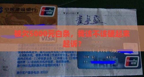 欠白条5000元有必要起诉我吗