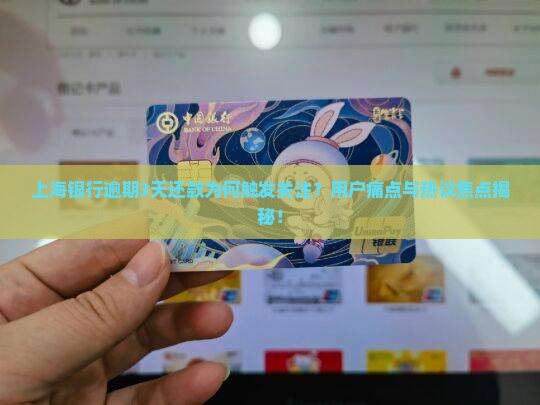 上海银行逾期3天还