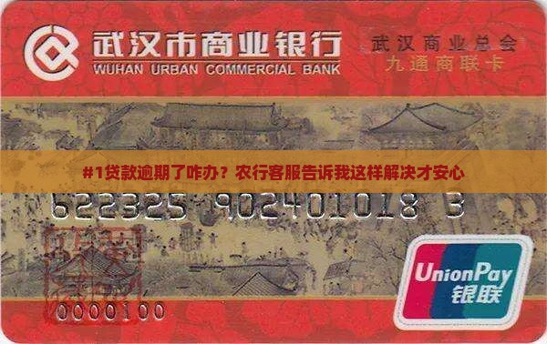 农业银行贷款逾期了怎么办应该怎么处理
