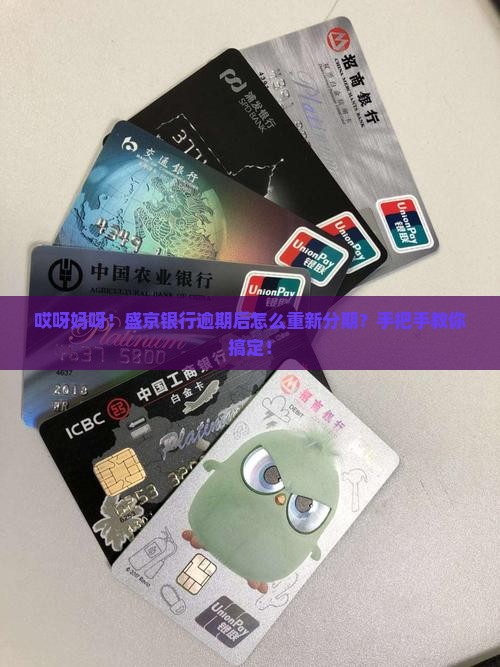 盛京银行逾期重新分期流程详解
