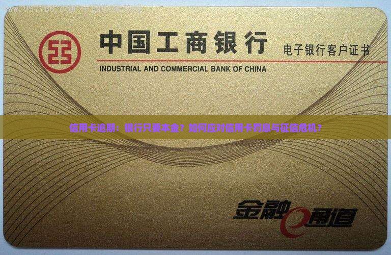 信用卡逾期银行只要本金如何处理