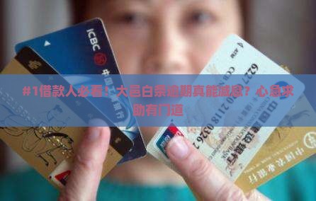 大邑白条逾期还款利息减免