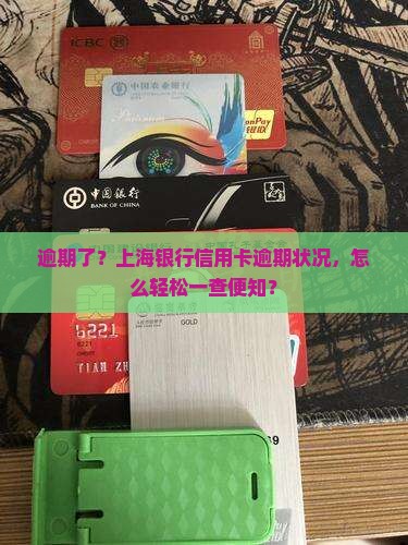 上海银行信用卡逾期查询怎么办理