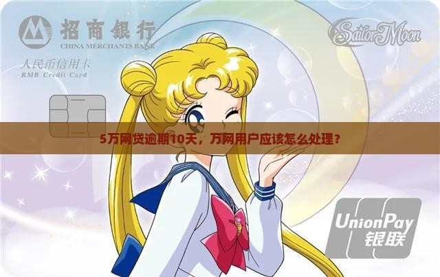 5万网贷逾期10天应该怎么处理