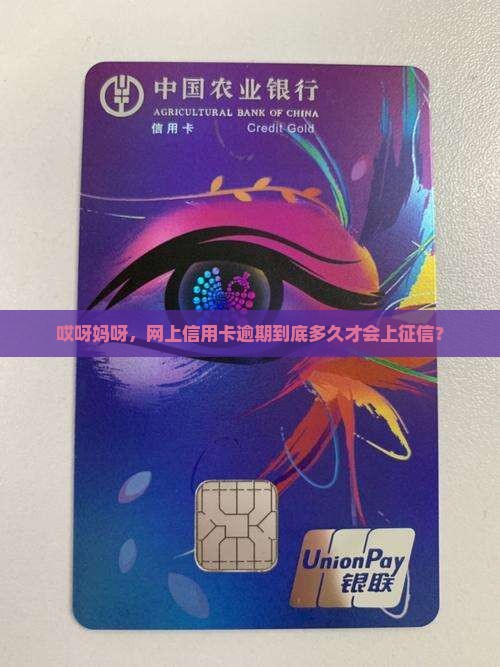 网上信用卡逾期多久上征信