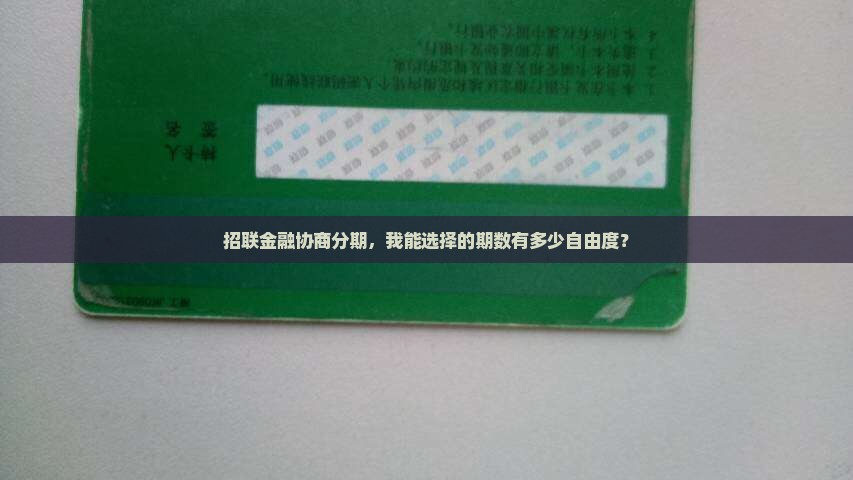 招联金融协商分期期数多少