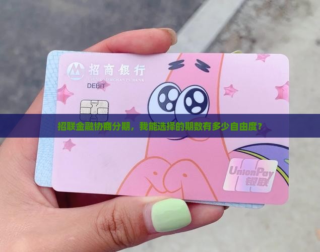招联金融协商分期期数多少