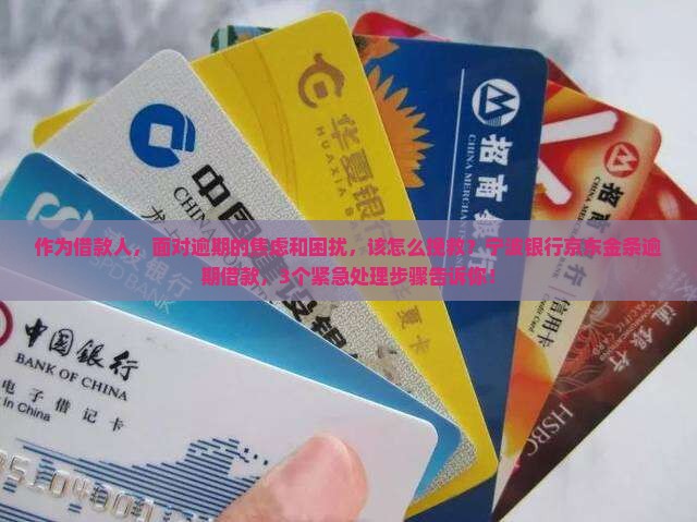 宁波银行京东金条逾期借款怎么处理