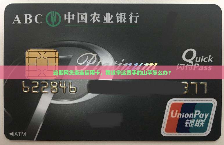 网贷逾期了信用卡会怎样