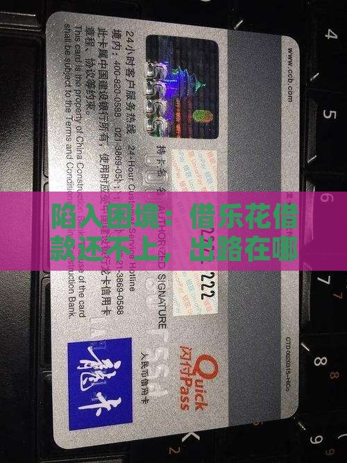 借乐花借款没有能力还款怎么办