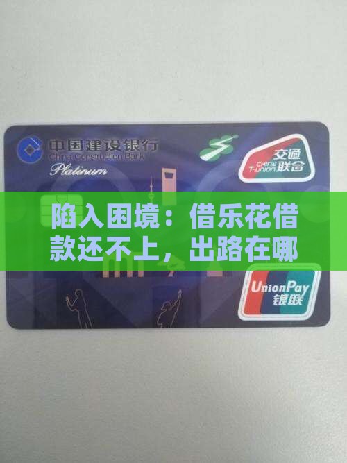 借乐花借款没有能力还款怎么办