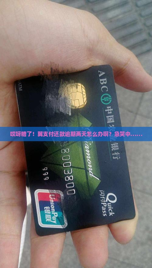 翼支付的还款逾期两天怎么处理
