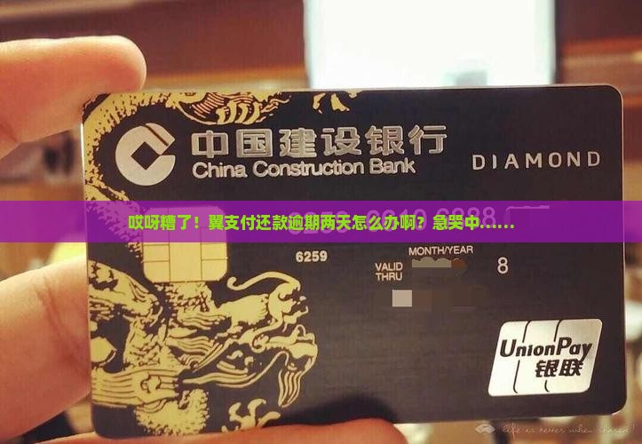 翼支付的还款逾期两天怎么处理