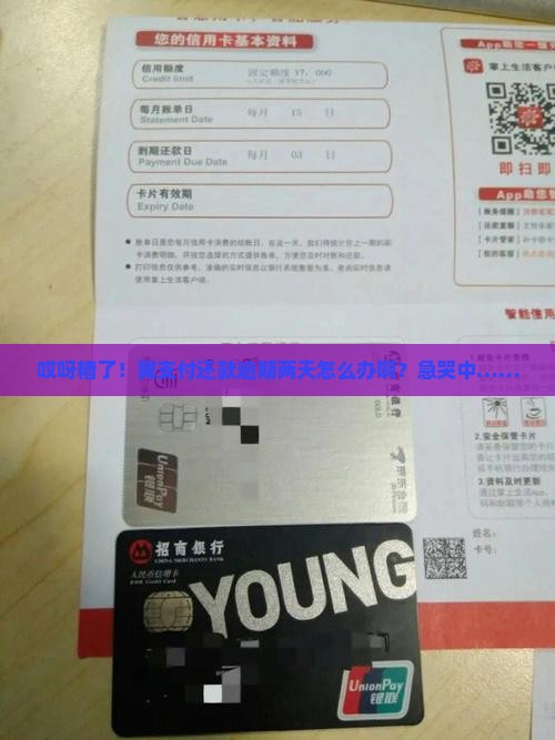 翼支付的还款逾期两天怎么处理