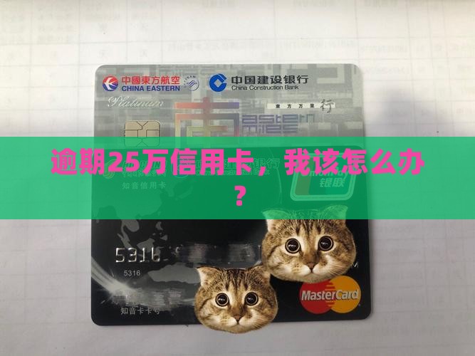 25万信用卡逾期会怎样