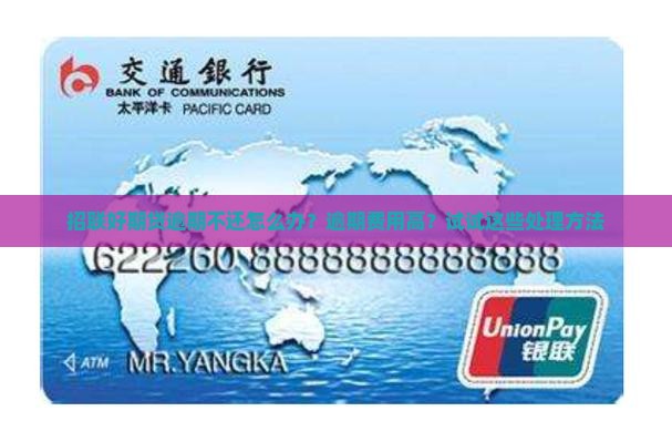 招联好期贷逾期不还怎么处理