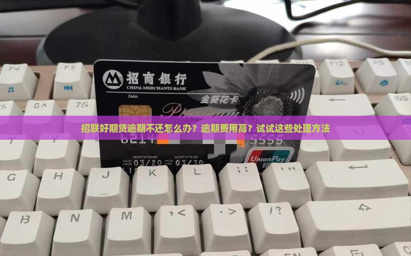 招联好期贷逾期不还怎么处理