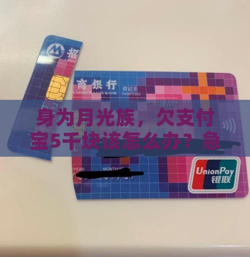 确实无力偿还支付宝的钱如何处理