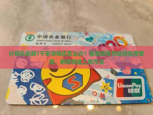 分期乐逾期1千多没钱还怎么办