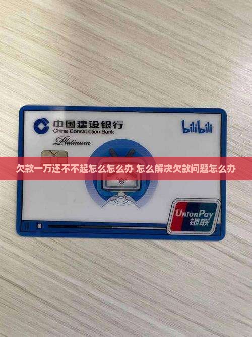 欠款1万还不起怎么办怎么办
