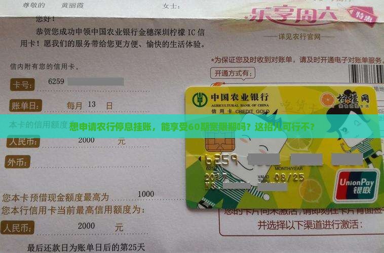 农行停息挂账60期可以申请吗