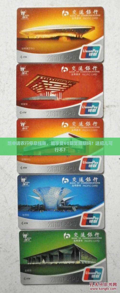 农行停息挂账60期可以申请吗