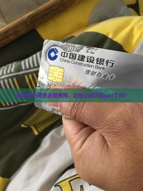 网贷逾期费用协商减免技巧分享