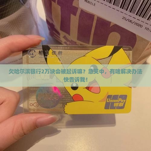 欠哈尔滨银行两万块钱会被起诉吗如何解决问题
