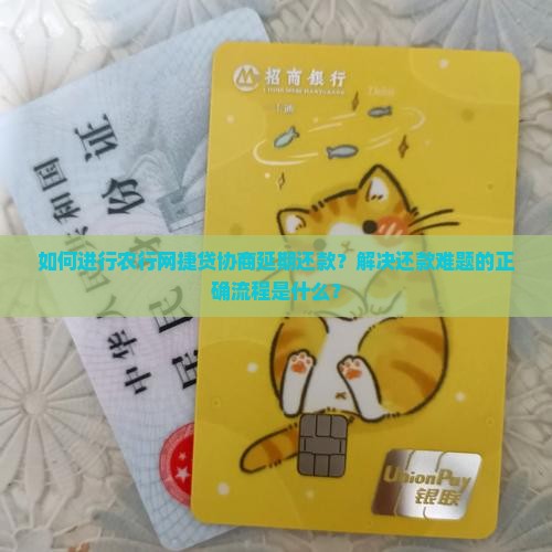农行网捷贷申请协商延期还款的流程是怎样的