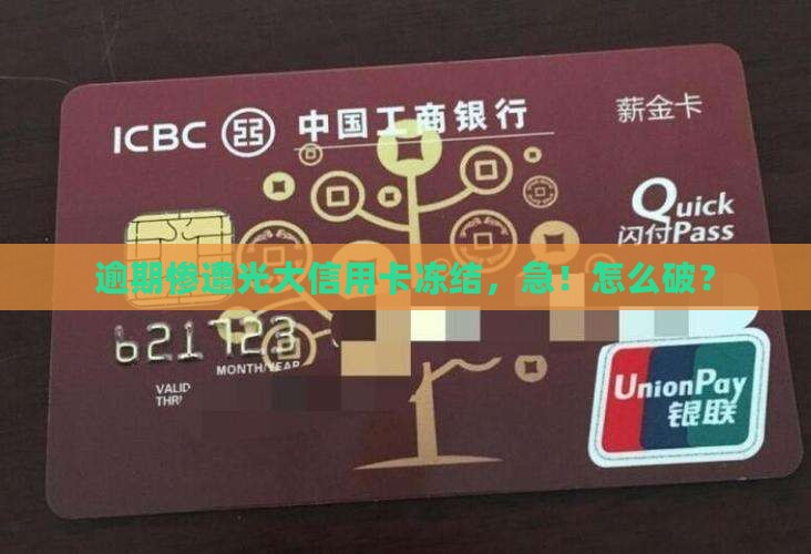 光大信用卡因逾期冻结了怎么办
