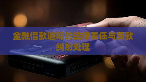 金融借款逾期怎么判法律责任