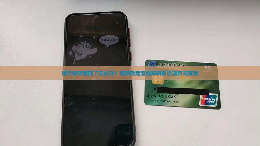 建行快贷逾期处理流程解析及还款方式推荐