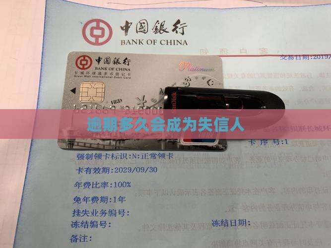 逾期三个月失信人