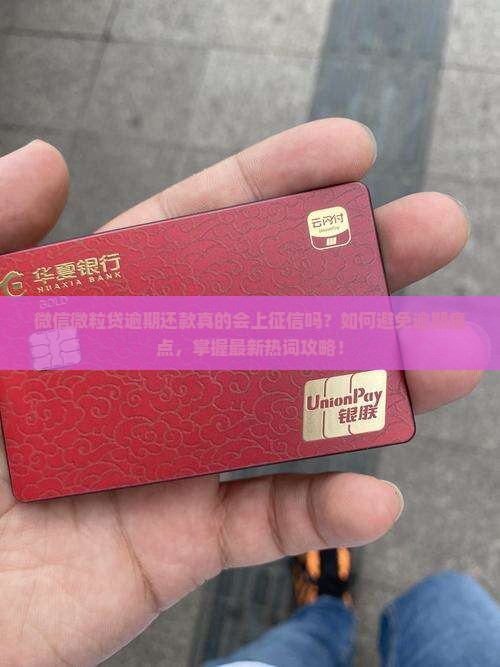 微信微粒贷逾期还款会不会上征信
