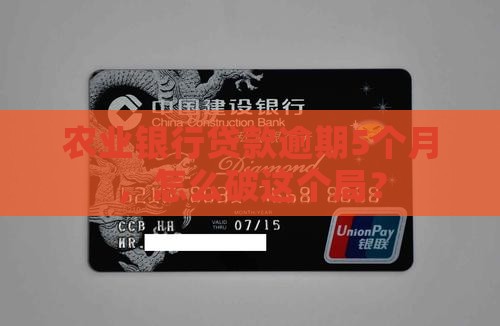 农业银行逾期5个月贷款怎么处理