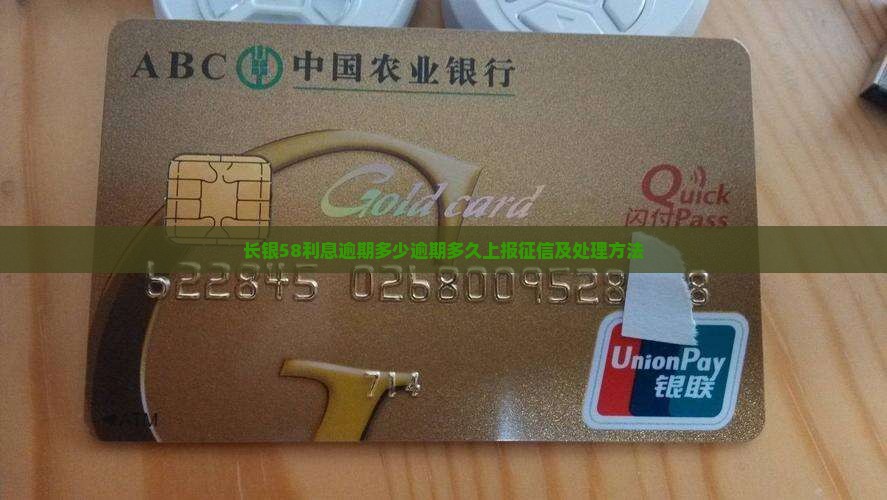 长银58利息逾期多少