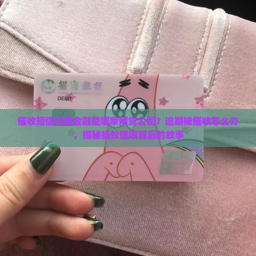 催收短信消费金融是哪家网贷公司