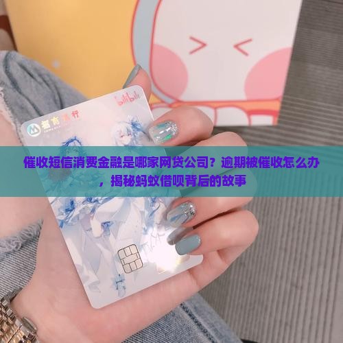 催收短信消费金融是哪家网贷公司