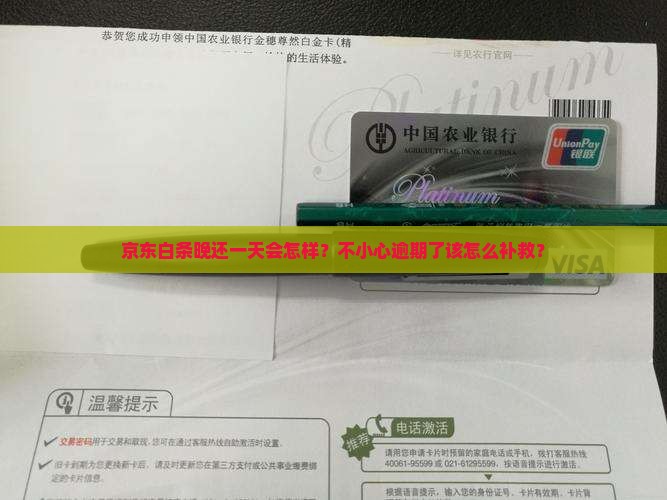 京东白条延期一天还款后果如何处理