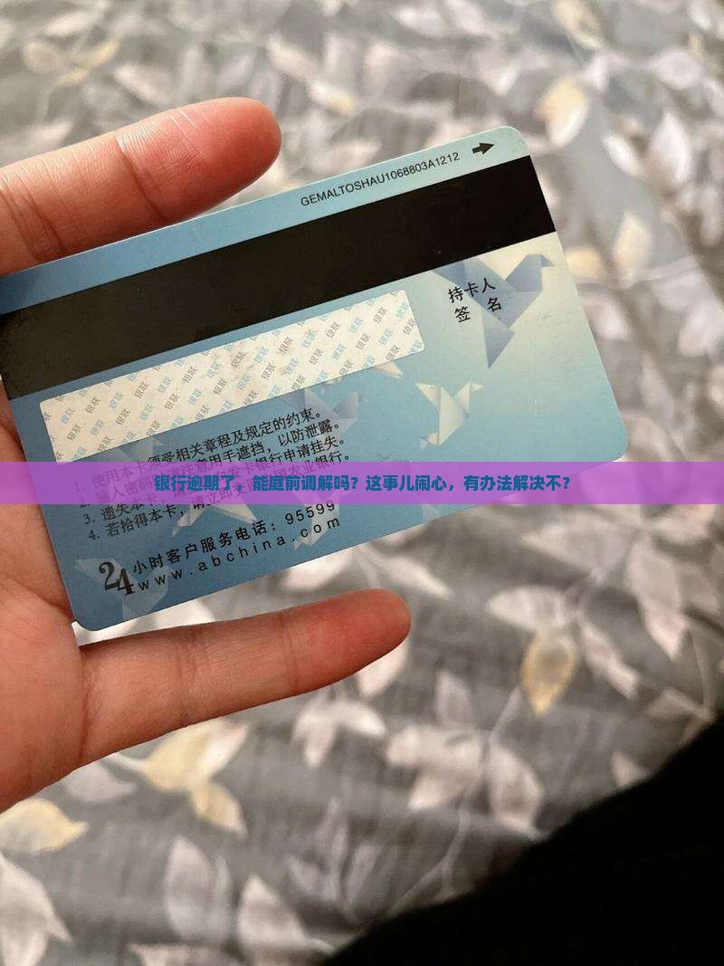 银行逾期能庭前调解吗