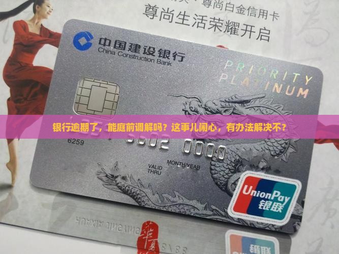 银行逾期能庭前调解吗