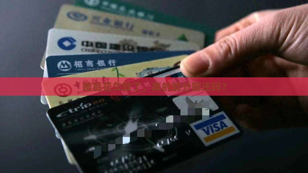 唯品花欠款如何分期