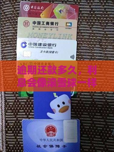 贷款最长逾期是几年的利息