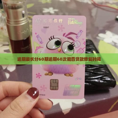 逾期最长分60期
