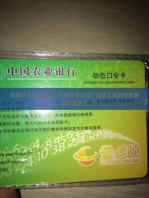 美团还不起贷款怎么协商还本金呢