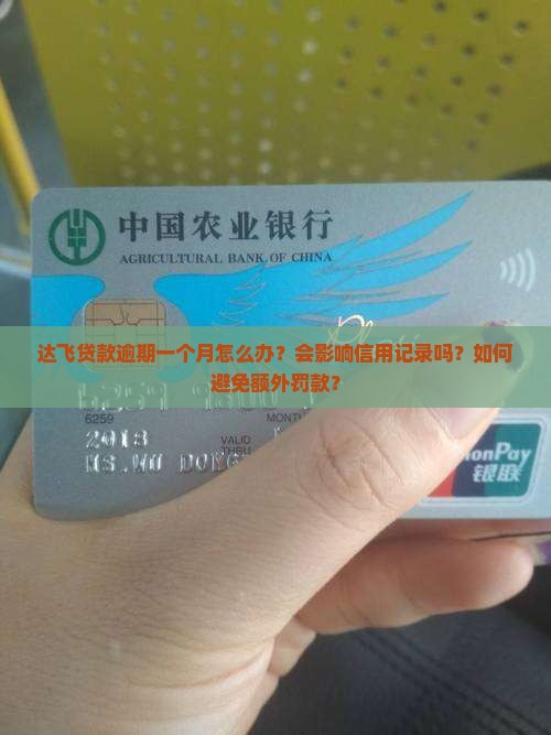 达飞贷款逾期一个月怎么办才好
