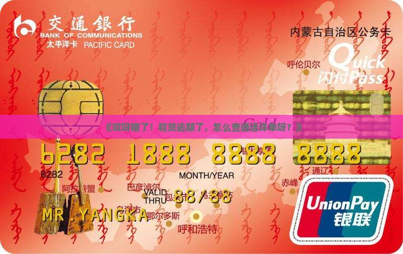 如何调取及贷逾期的通话详单