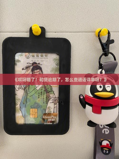 如何调取及贷逾期的通话详单